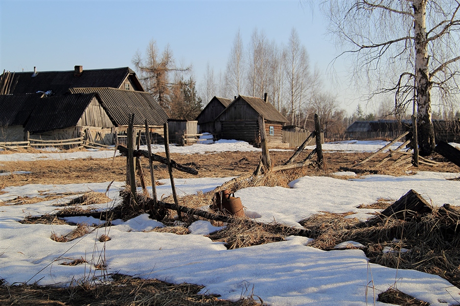 Фото жизнь