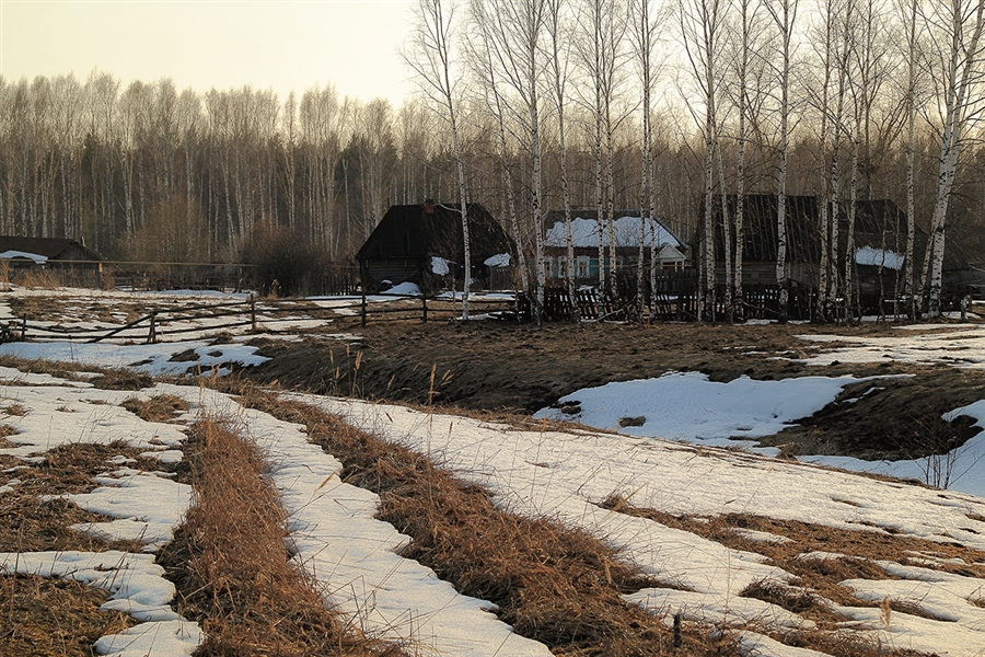 Фото жизнь