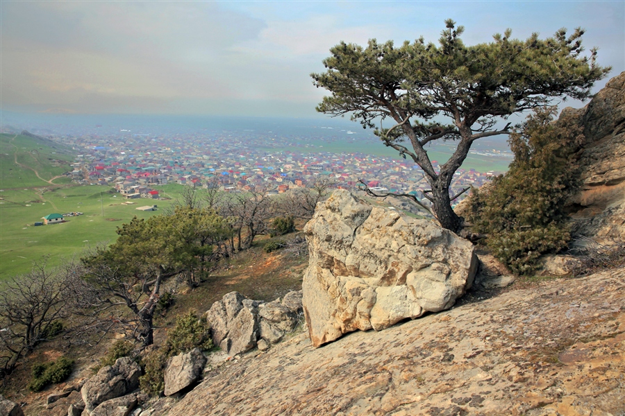 Фото жизнь