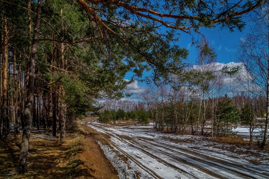 Фото жизнь