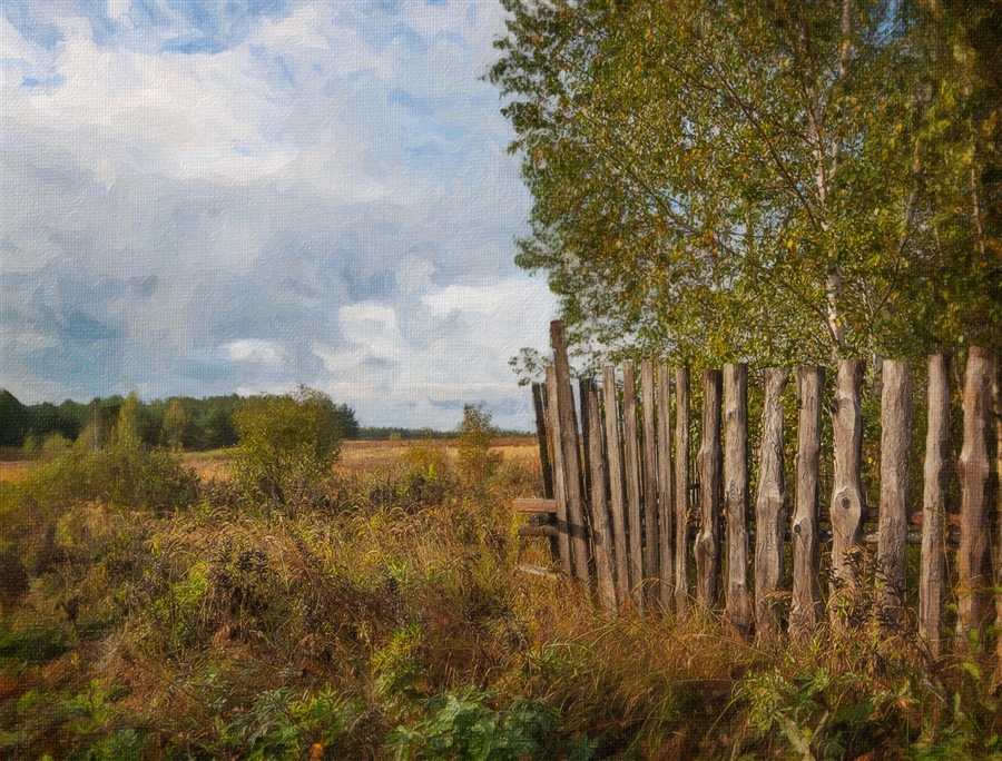 Фото жизнь