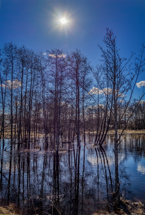 Фото жизнь