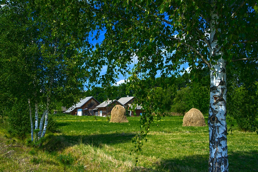 Фото жизнь
