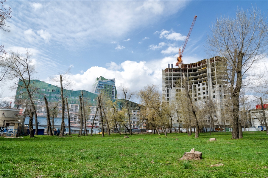 Фото жизнь