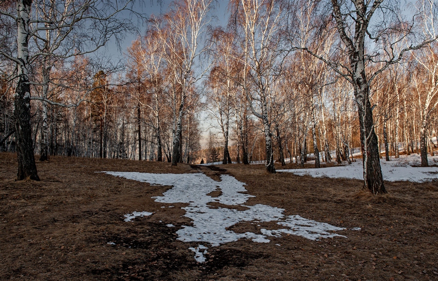 Фото жизнь