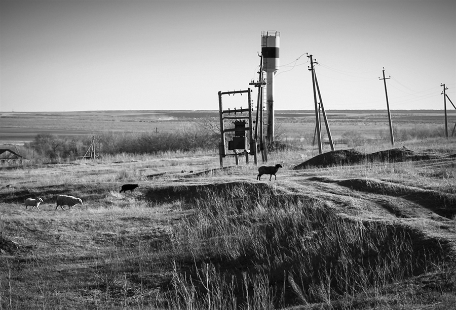 Фото жизнь