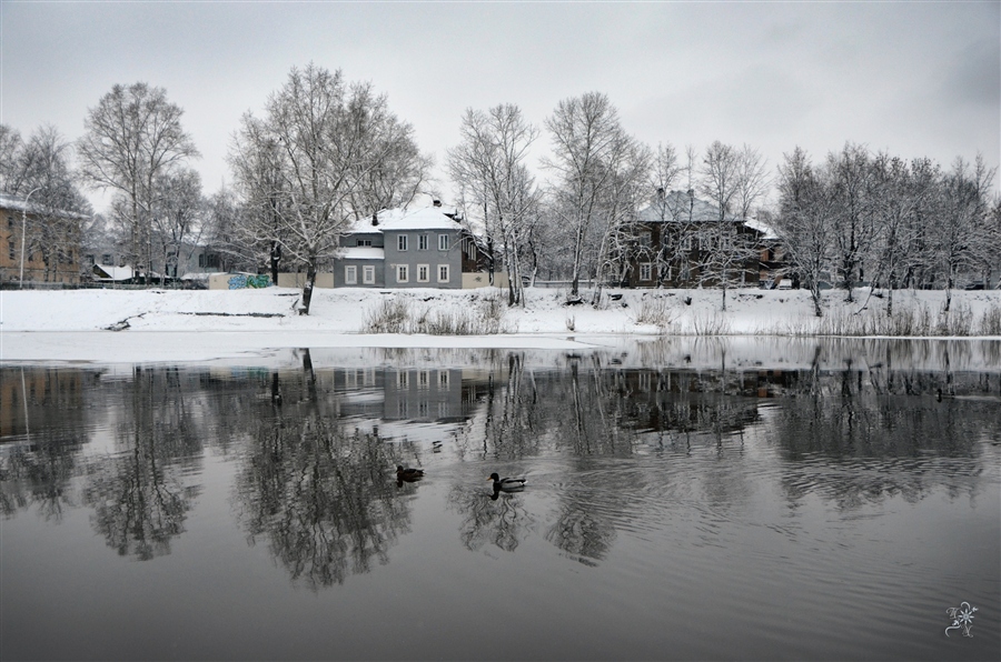 Фото жизнь