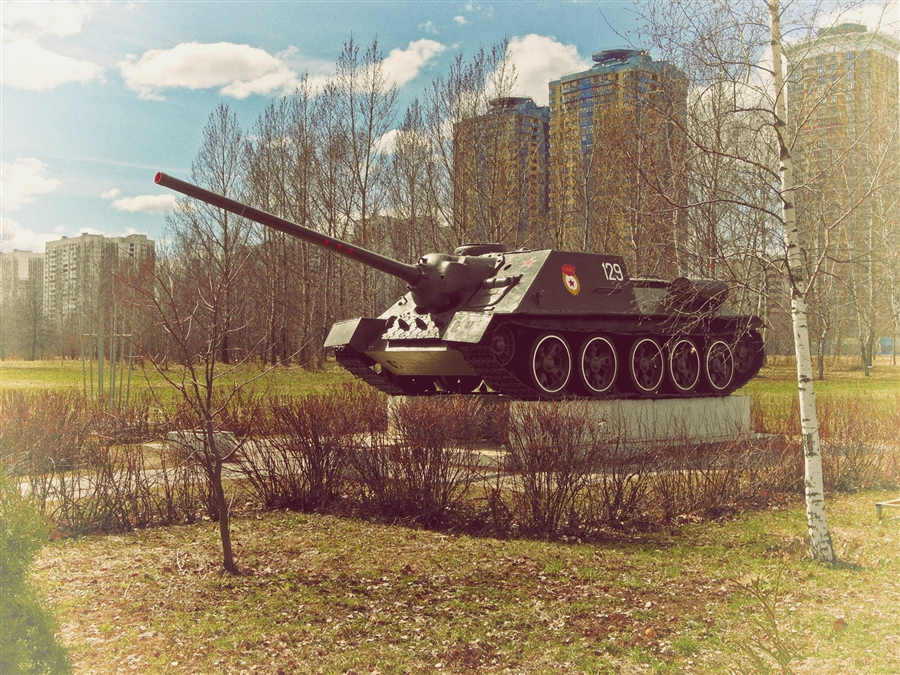 Фото жизнь