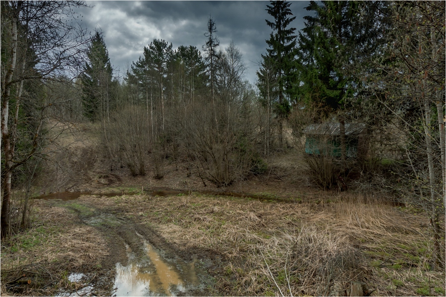 Фото жизнь