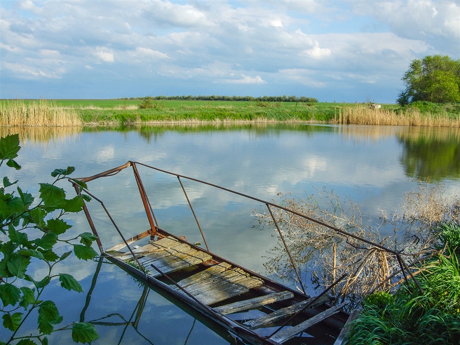 Фото жизнь