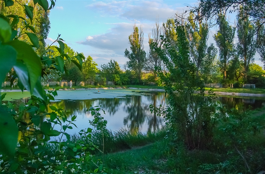 Фото жизнь