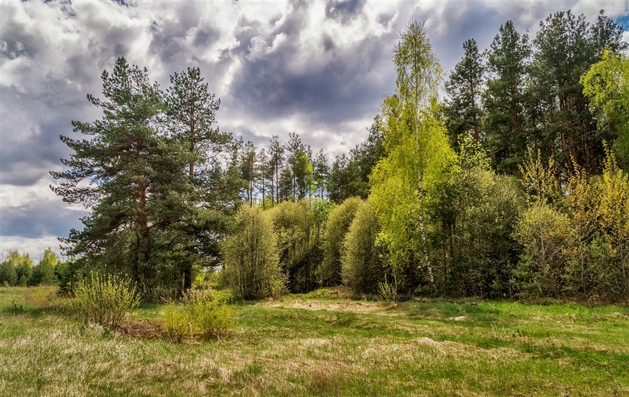 Фото жизнь