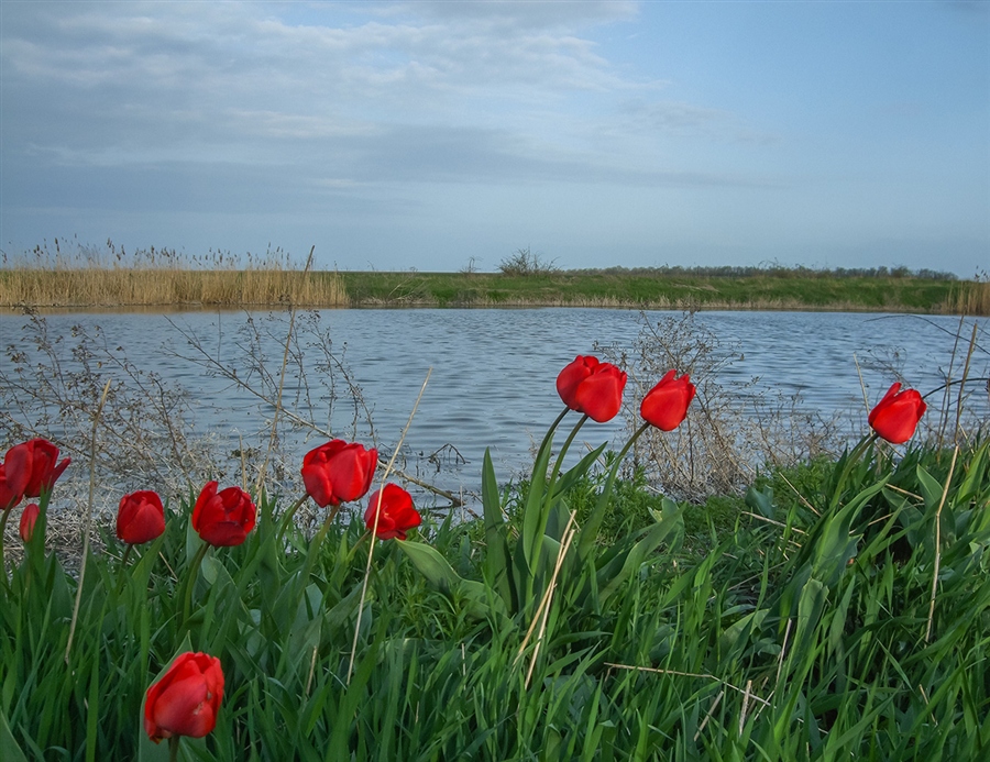 Фото жизнь