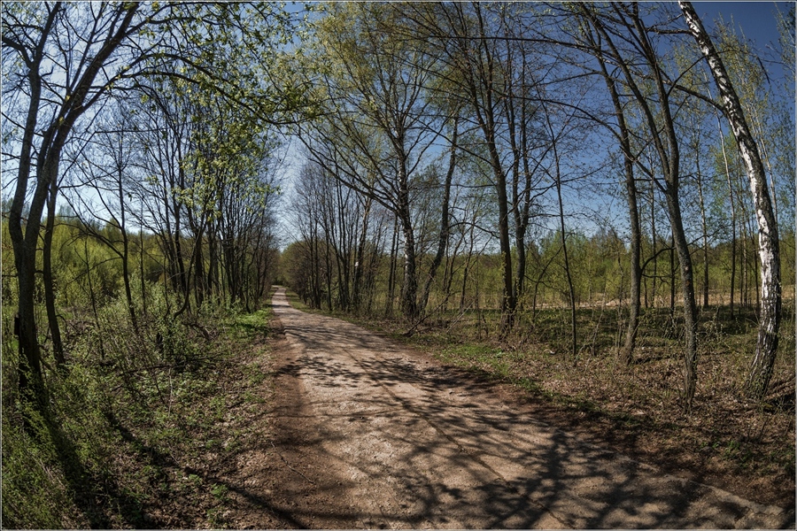 Фото жизнь
