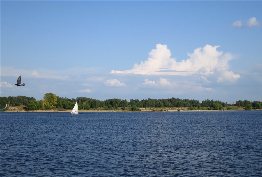 Фото жизнь
