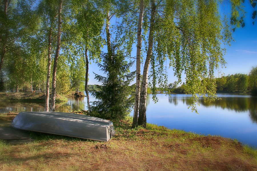 Фото жизнь