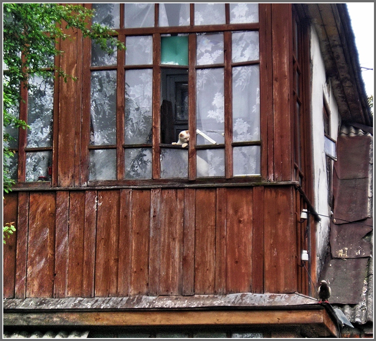 Фото жизнь