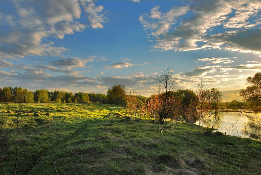 Фото жизнь