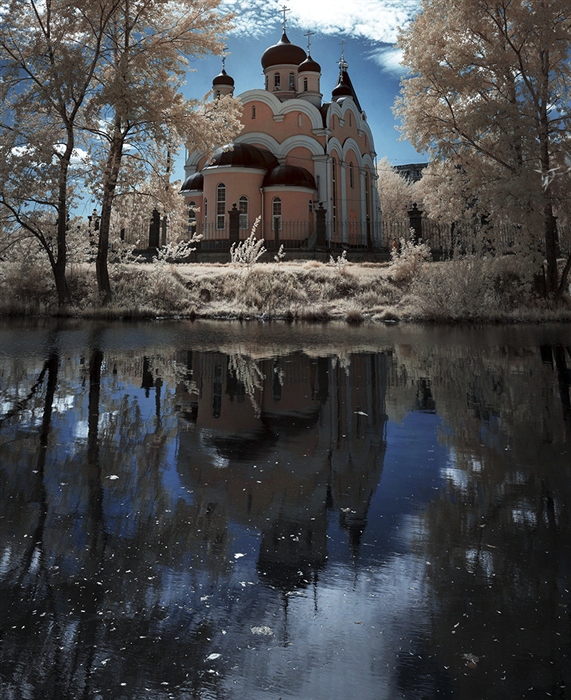 Фото жизнь