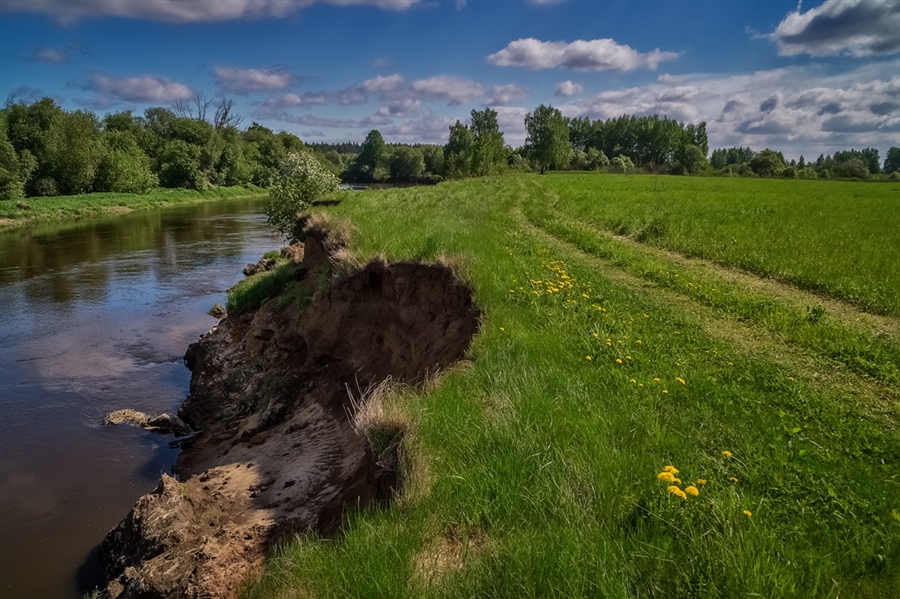 Фото жизнь