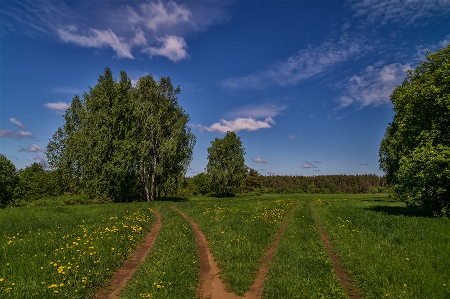Фото жизнь