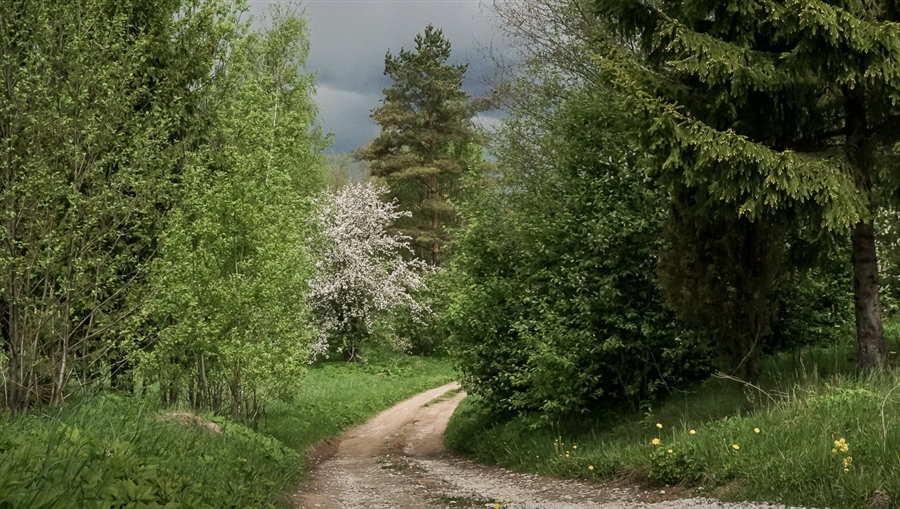 Фото жизнь