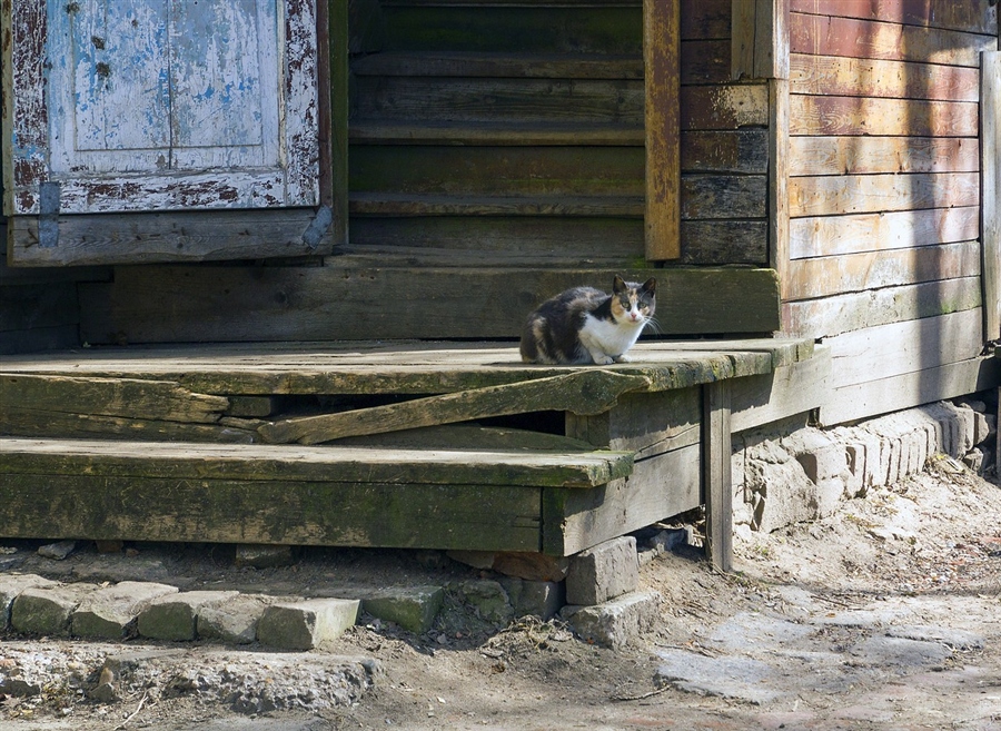Фото жизнь