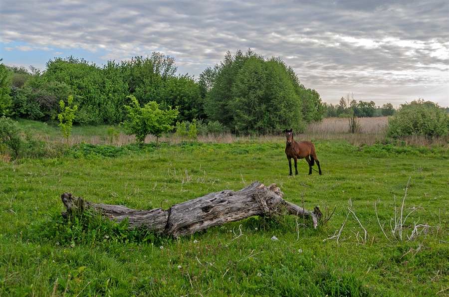 Фото жизнь