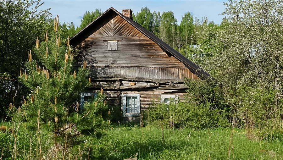 Фото жизнь