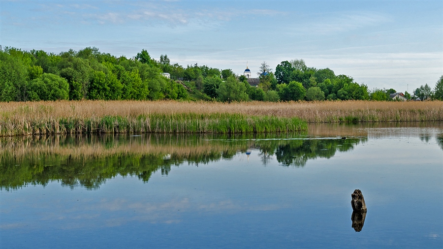 Фото жизнь