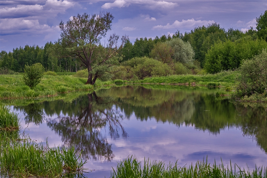 Фото жизнь