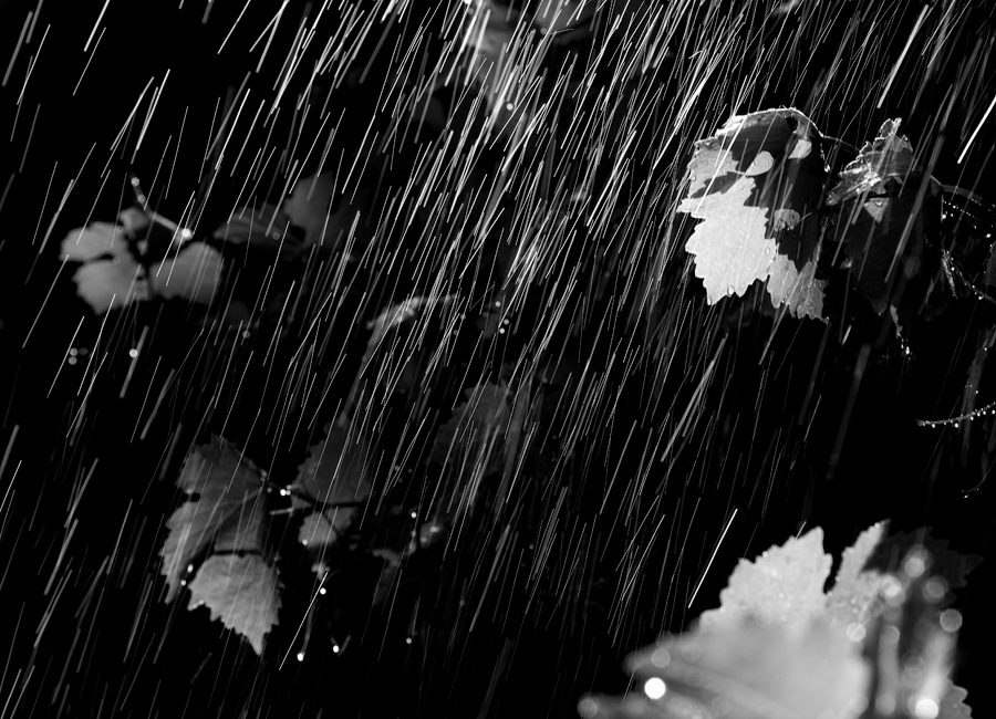 Фото жизнь - Александр Москвитин - корневой каталог -  слепой дождь