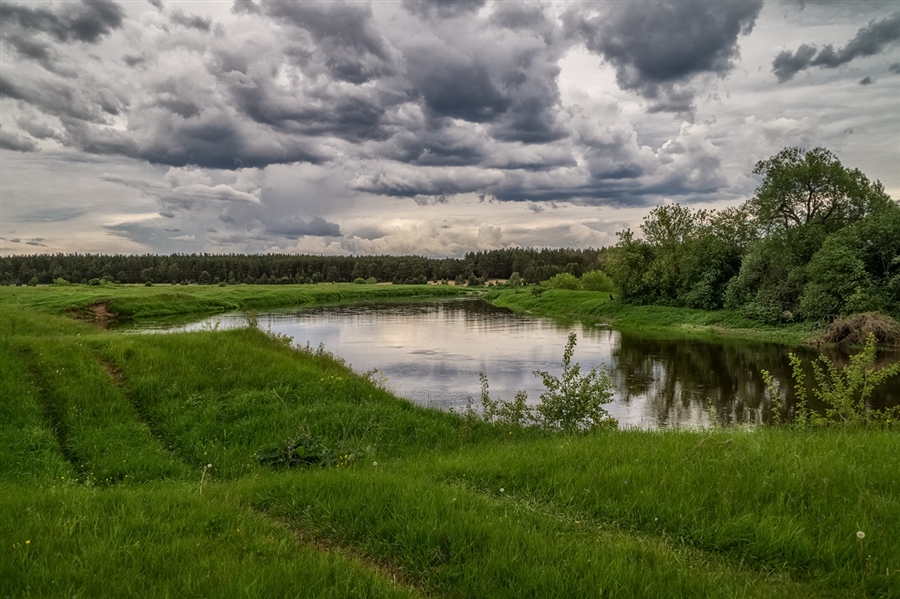 Фото жизнь