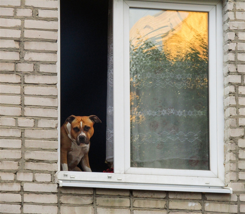 Фото жизнь