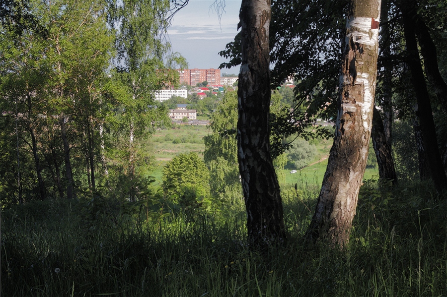 Фото жизнь