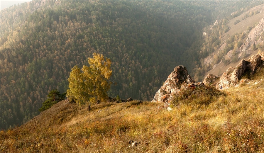 Фото жизнь