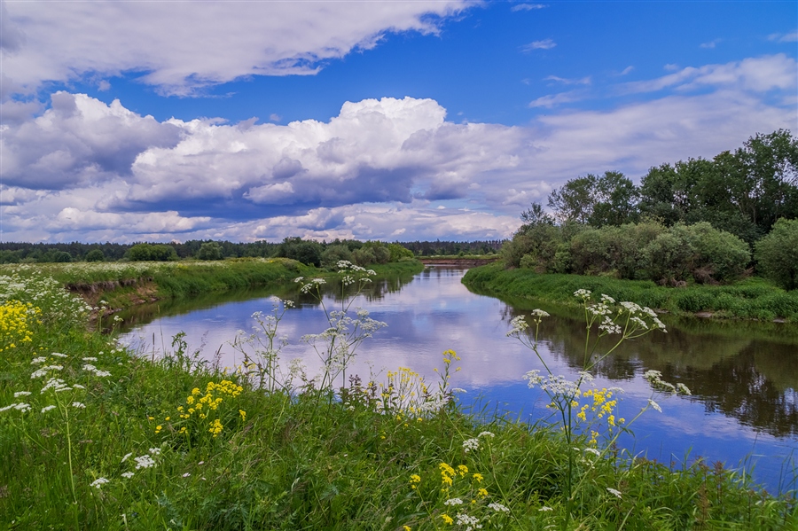 Фото жизнь
