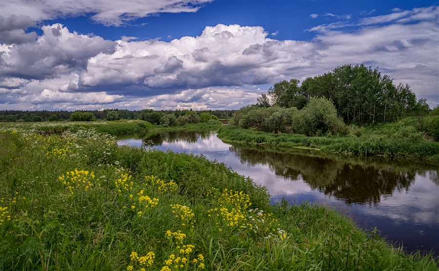 Фото жизнь