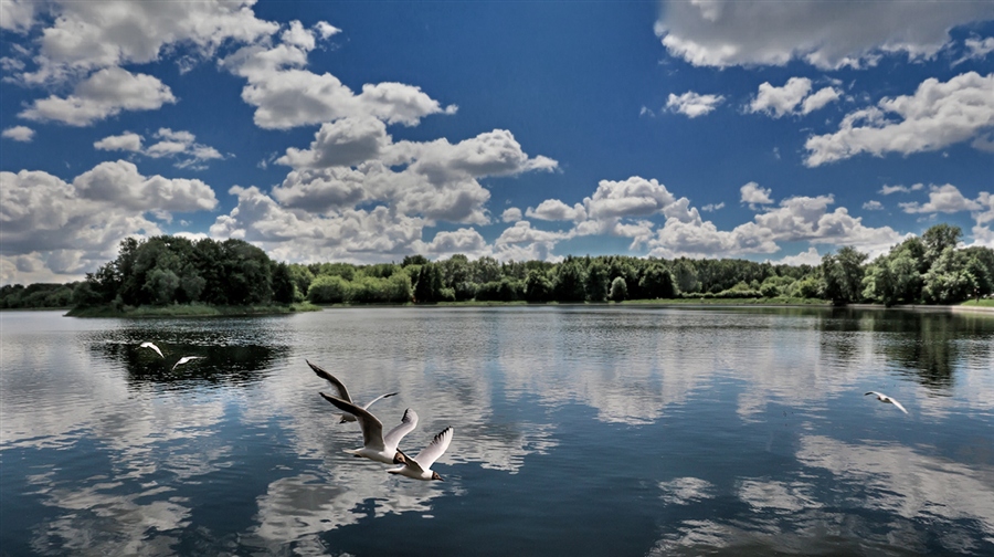 Фото жизнь