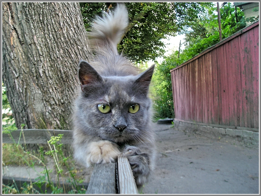 Фото жизнь