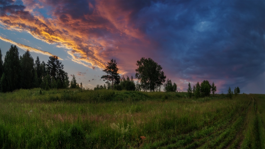 Фото жизнь