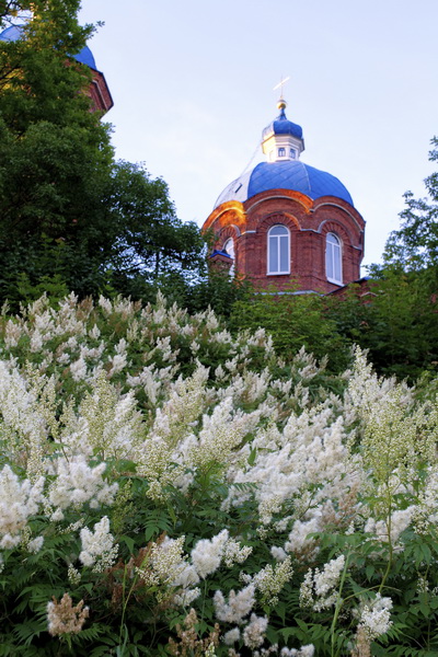 Фото жизнь