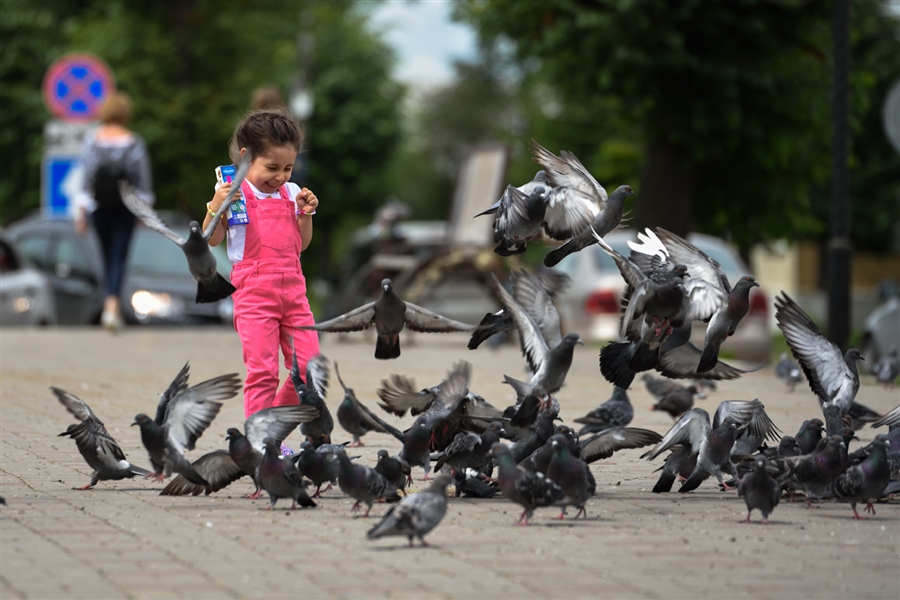Фото жизнь