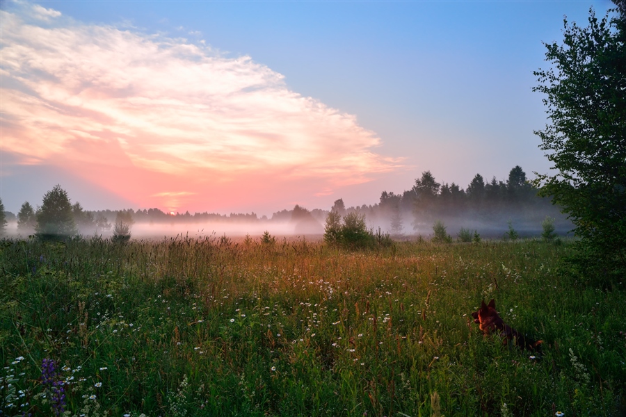 Фото жизнь