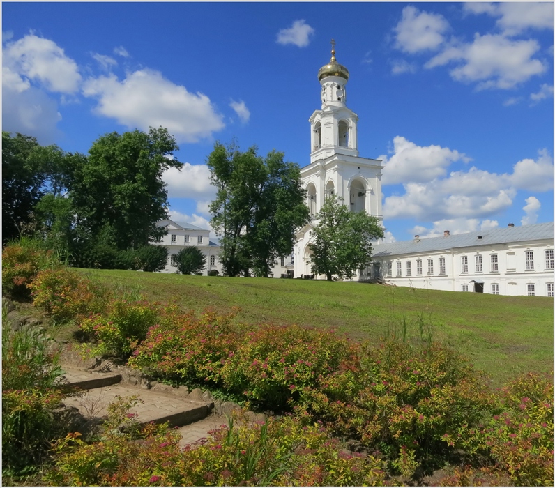 Фото жизнь