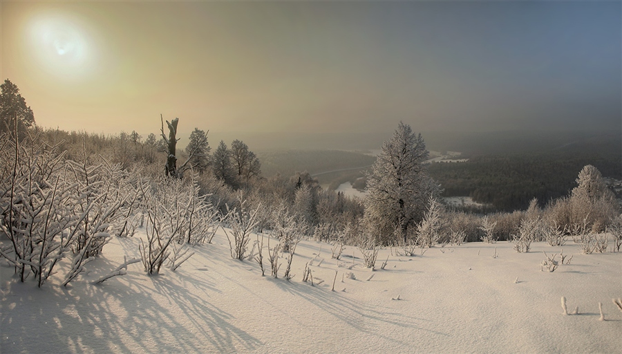 Фото жизнь