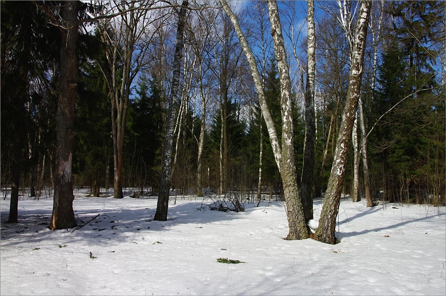 Фото жизнь