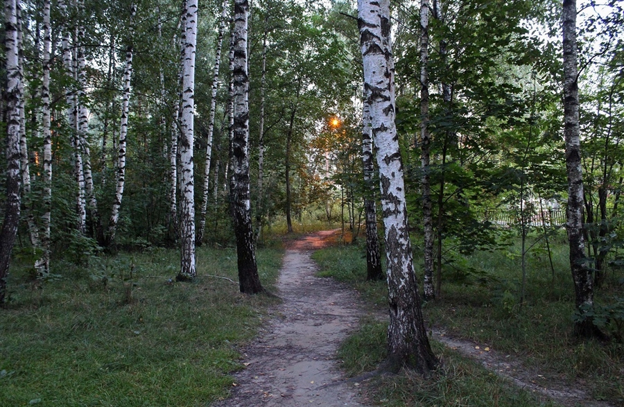 Фото жизнь