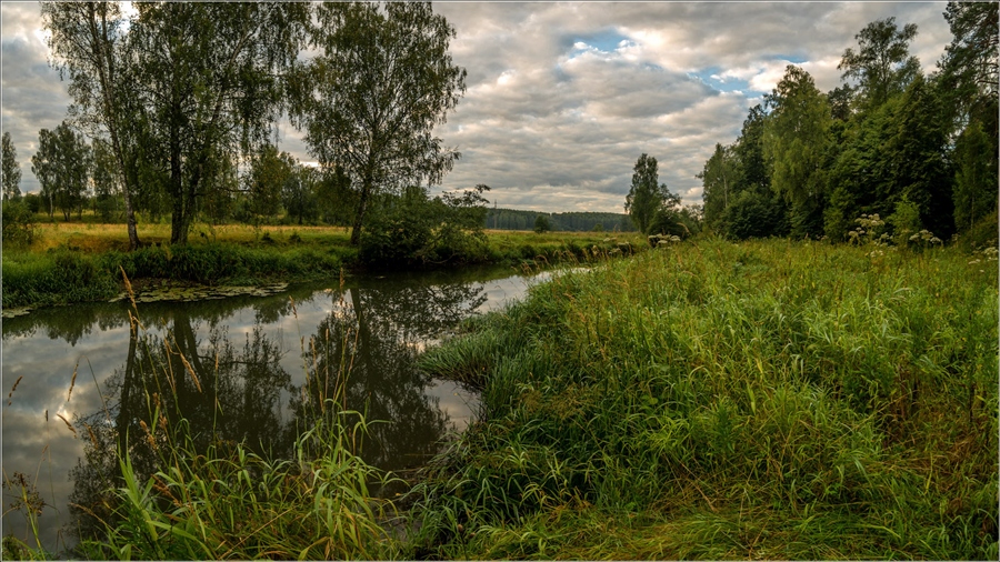 Фото жизнь
