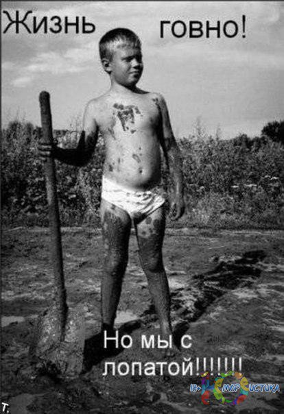 тест